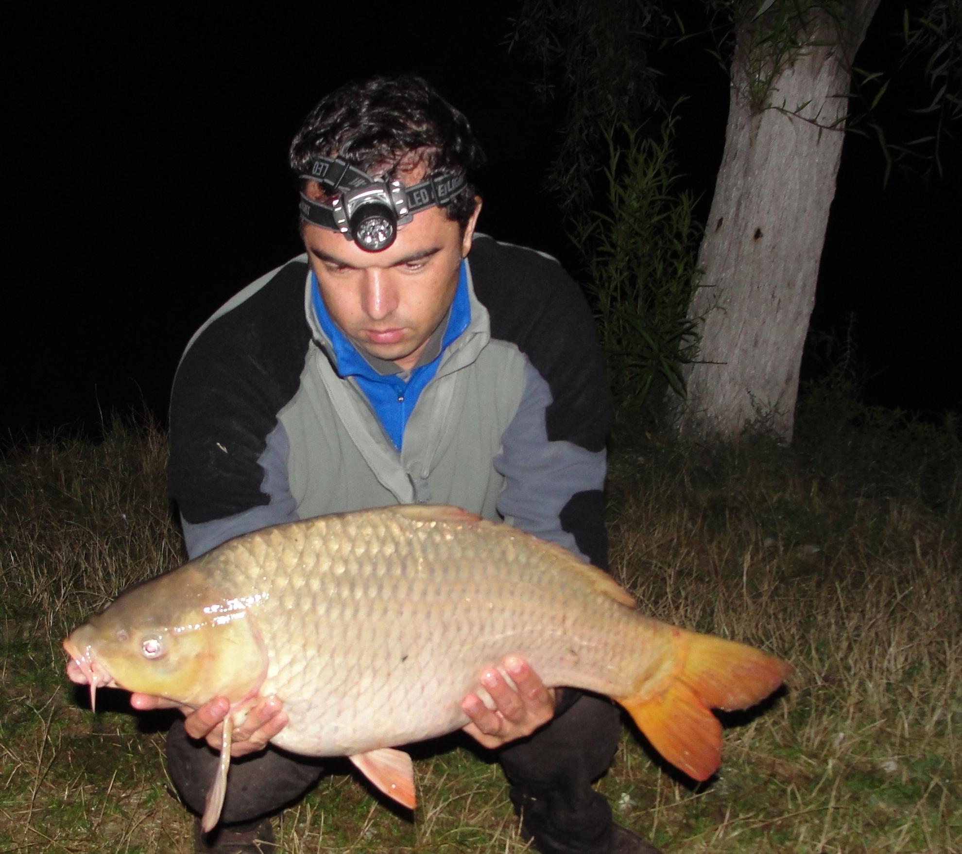 Moara Vlasiei 15.08.2012 - dsc06850.JPG